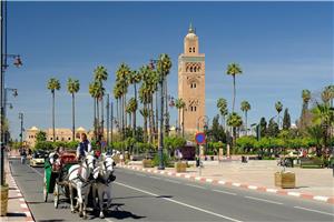 Maroko in kraljeva mesta I 2023