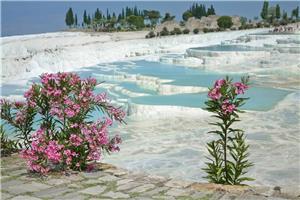 Turška riviera II 2023 