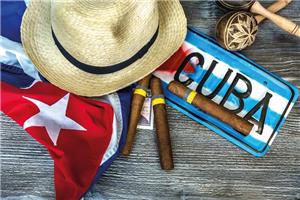 Živahna Kuba I 2024