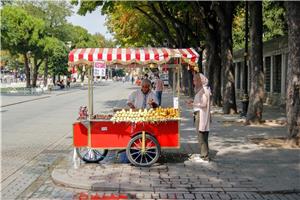 Predpraznični Istanbul 5 dni II 2023