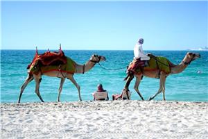 Osupljivi Dubaj in fantastični Abu Dhabi I 2026