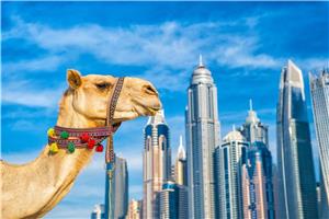 Potovanje po 5 emiratih - od Dubaja do Fujairaha I 2026