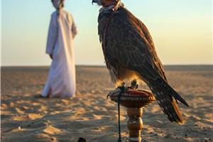 Potovanje po 5 emiratih - od Dubaja do Fujairaha I 2026