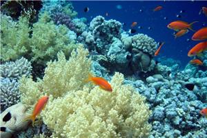 Bali, otok bogov I 2026