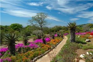  Južna Afrika I 2026