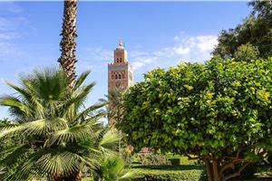 Maroko 10 dni I 2026 