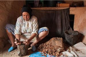 Maroko 10 dni I 2026 