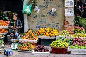 Vietnam - dežela tisočerih obrazov I 2027