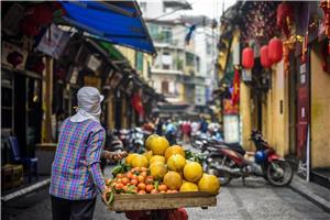 Vietnam - dežela tisočerih obrazov I 2027